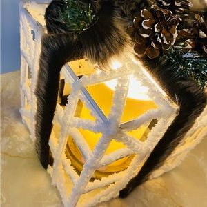 Fur present accent shade.